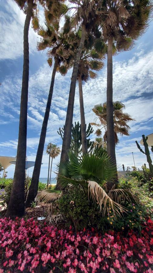 Apartamento A 150 Metros De La Playa Y Del Puerto Deportivo Estepona Esterno foto